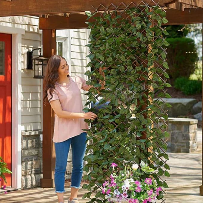 Treillis de Jardin extensible 1mx2m